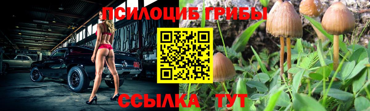 Псилоцибиновые грибы GOLDEN TEACHER Бахчисарай